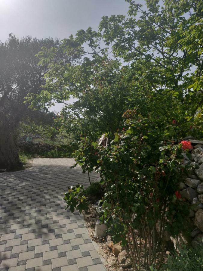 Guest House Maslina Vinisce Bagian luar foto